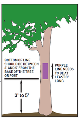 graphic of paint marking instructions